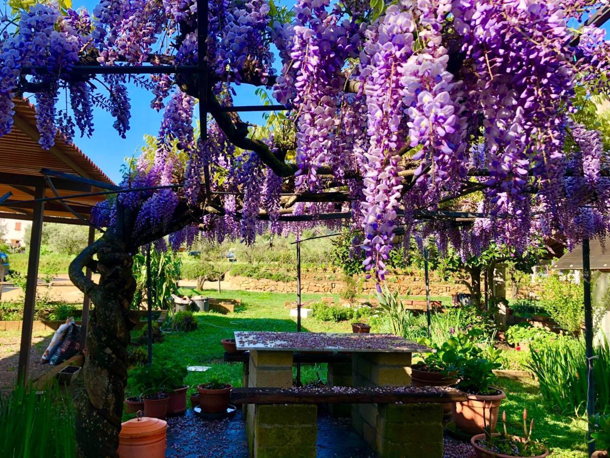 Agriturismo Montefabbrello Magazzini  エクステリア 写真