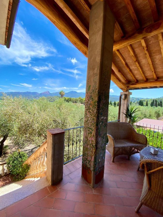 Agriturismo Montefabbrello Magazzini  エクステリア 写真